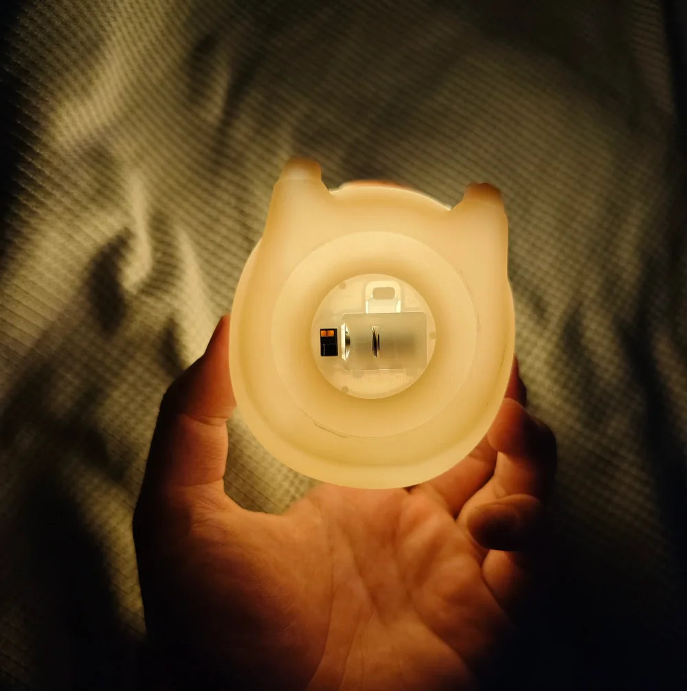 Luminaria Capivara
