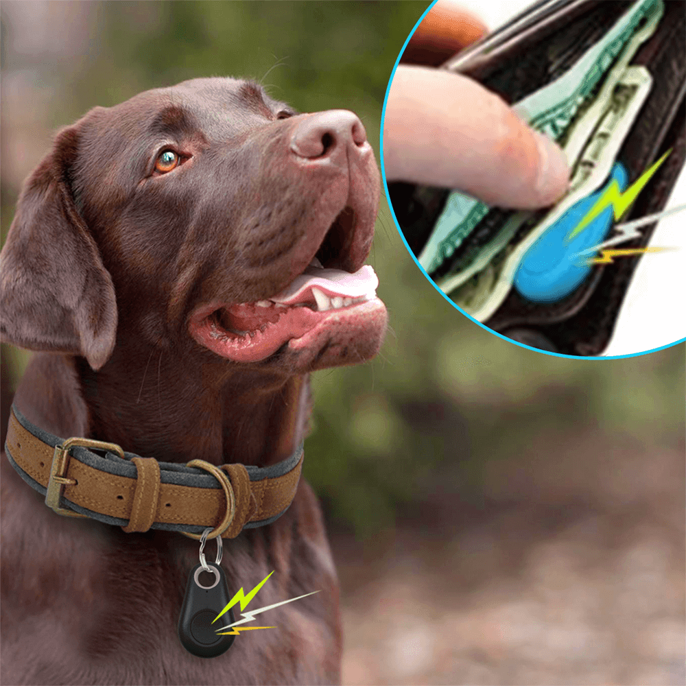 Rastreador Pet Finder - AzulDirecty